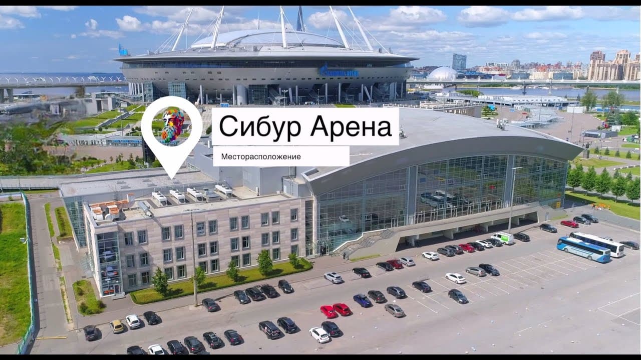 Видео-отзывы о школе